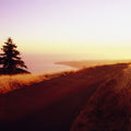 Coastal Sunset Path Mural Wallpaper - pure wallpaper artwork