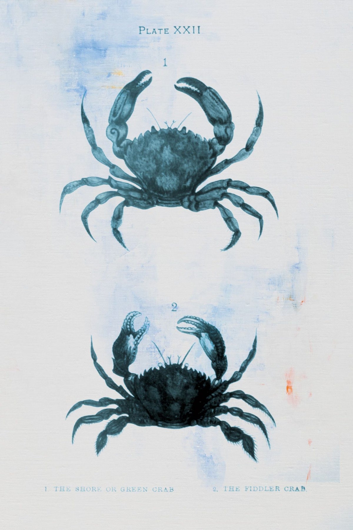 Blue Bay IV Mural Wallpaper - pure wallpaper artwork