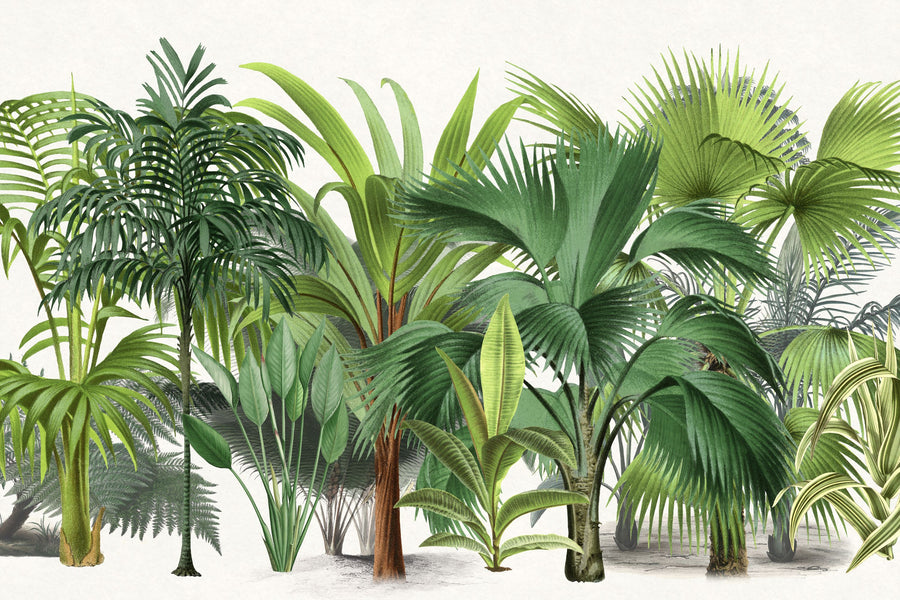 Exotic Wildlife IV Mural Wallpaper