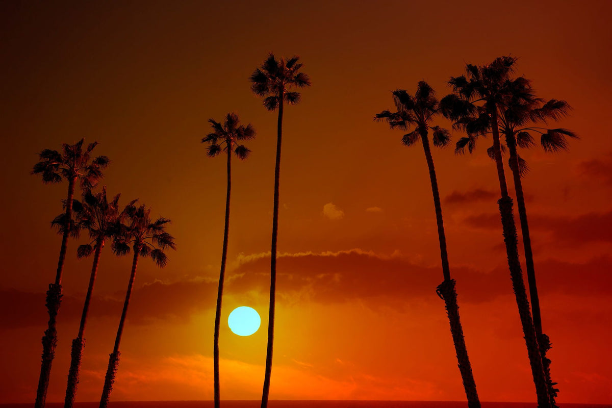 Redondo Beach Sunset Mural Wallpaper - pure wallpaper artwork