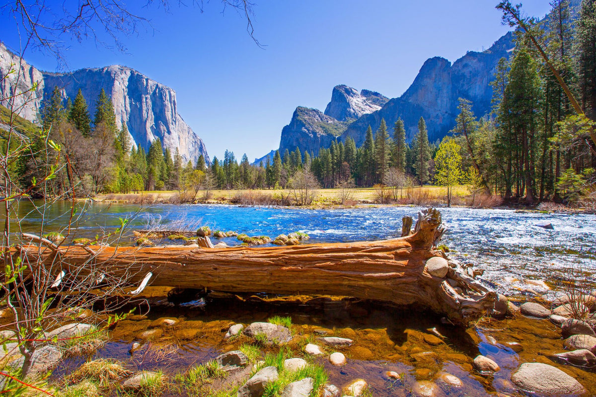 Yosemite Merced River Mural Wallpaper - pure wallpaper artwork