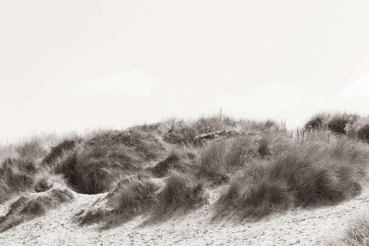 Soluna Dunes II Mural Wallpaper - pure wallpaper artwork