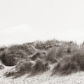 Soluna Dunes II Mural Wallpaper - pure wallpaper artwork