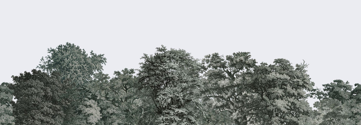 Over the Treetops, Forest Green Mural Wallpaper - pure wallpaper artwork