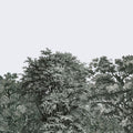 Over the Treetops, Forest Green Mural Wallpaper - pure wallpaper artwork
