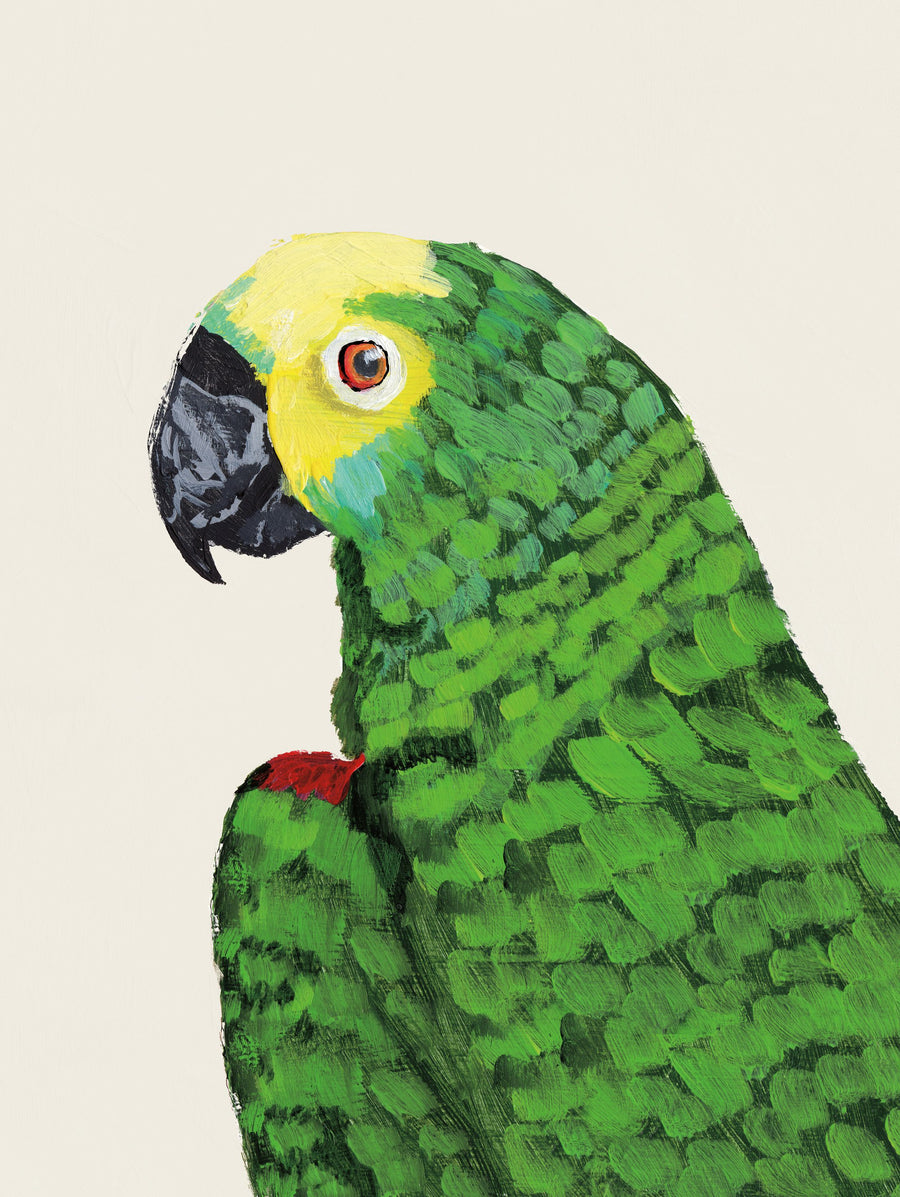 Parrot Head Light Mural Wallpaper