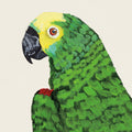 Parrot Head Light Mural Wallpaper - pure wallpaper artwork