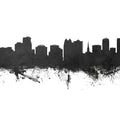 Orlando Florida Skyline Black & White Mural Wallpaper - pure wallpaper artwork