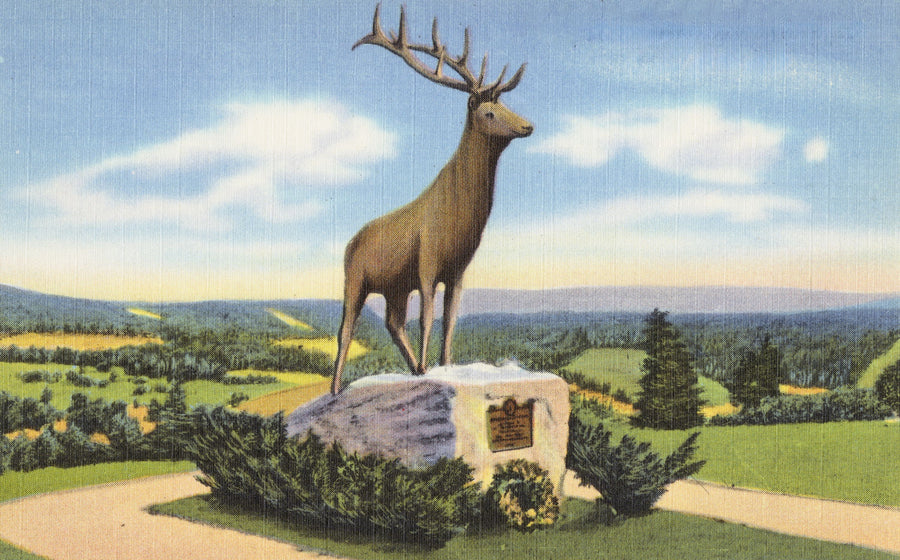 Deerfield Mural Wallpaper