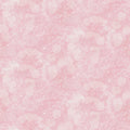 Moonlit Sky Petite, Ballet Slippers Mural Wallpaper - pure wallpaper artwork