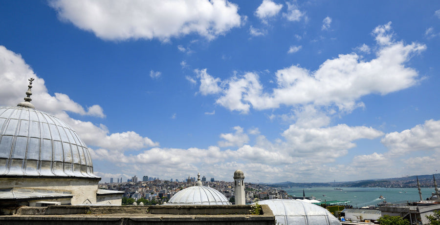 Historic Domes Panorama Mural Wallpaper