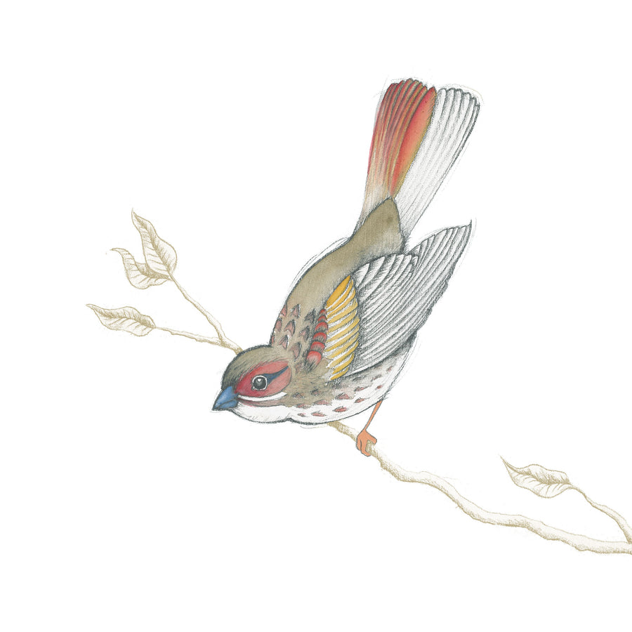 Arts and Crafts Birds II on White Mural Wallpaper