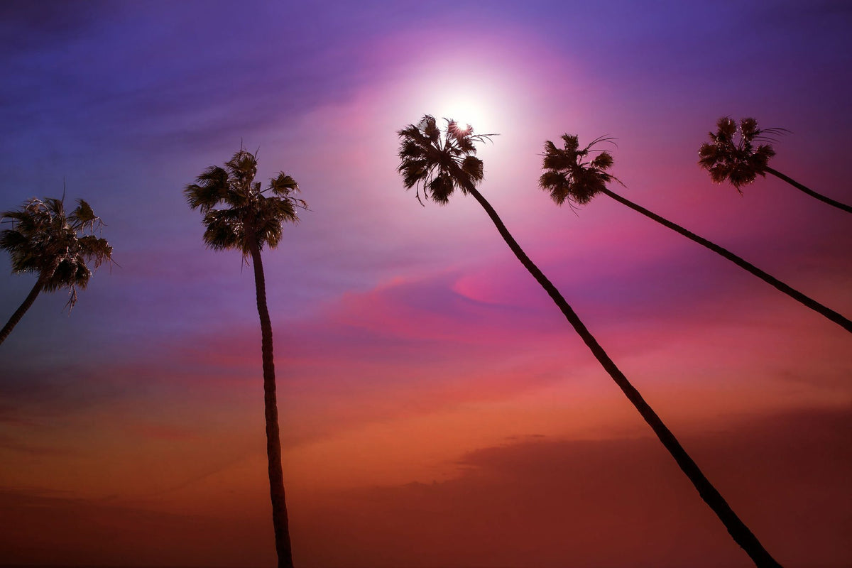 Thousand Palms Mural Wallpaper - pure wallpaper artwork