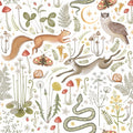 Fantasy Forest - Bright Mural Wallpaper - pure wallpaper artwork