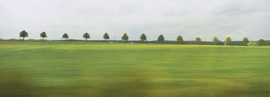 Horizon Fields Mural Wallpaper