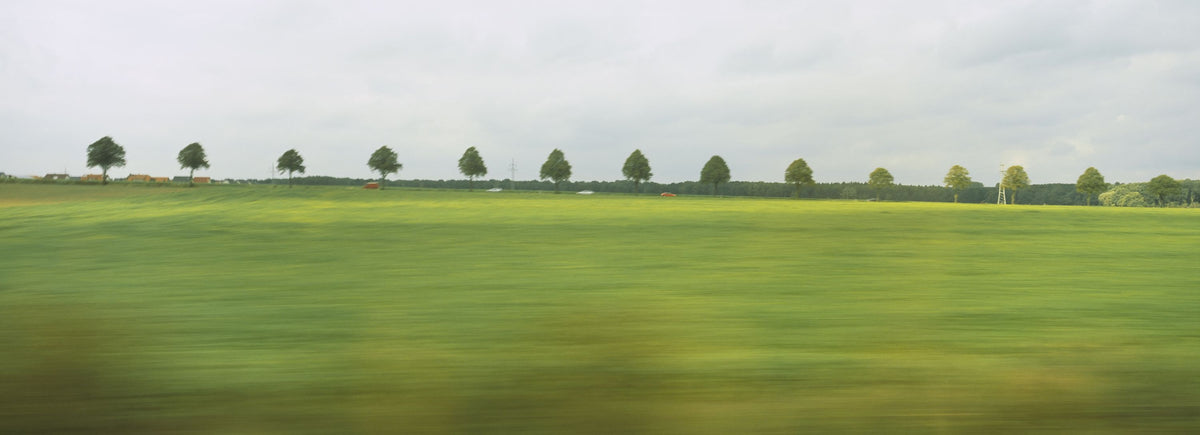 Horizon Fields Mural Wallpaper - pure wallpaper artwork