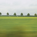 Horizon Fields Mural Wallpaper - pure wallpaper artwork