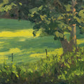 Early Morning Pasture Mural Wallpaper - pure wallpaper artwork