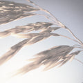 Windy Wheat Fields II Light Mural Wallpaper - pure wallpaper artwork