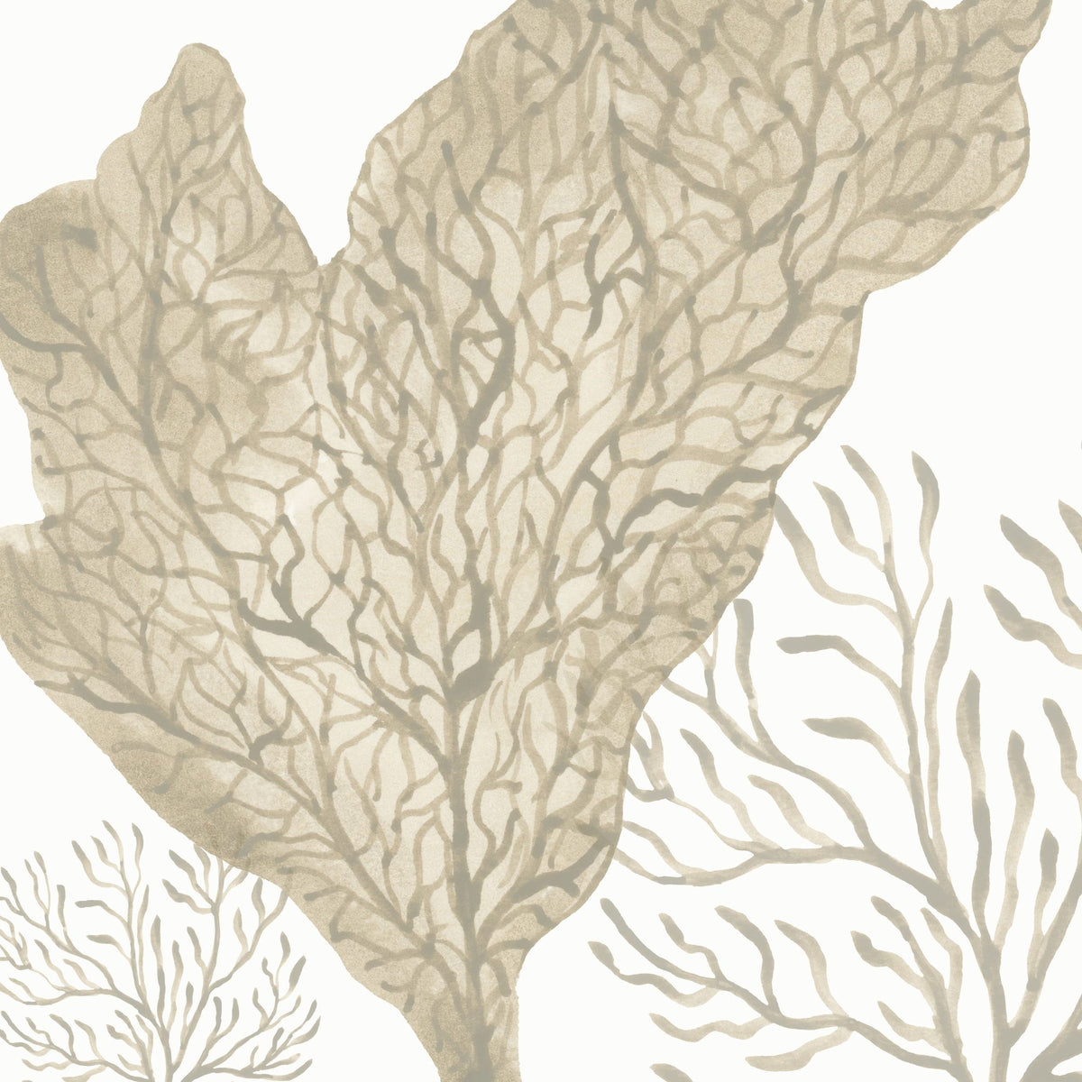 Coastal Reef VIII Mural Wallpaper - pure wallpaper artwork