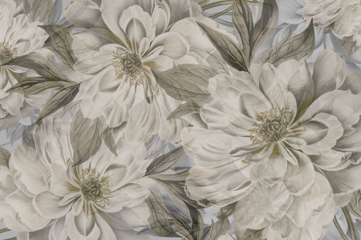 Peony Study - Chalk Mural Wallpaper - pure wallpaper artwork
