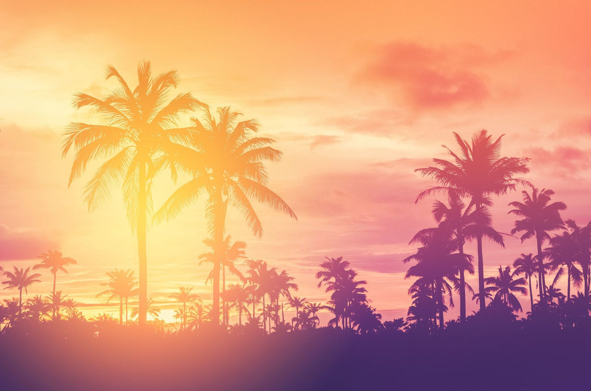 Indio Sunset Mural Wallpaper - pure wallpaper artwork