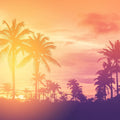 Indio Sunset Mural Wallpaper - pure wallpaper artwork