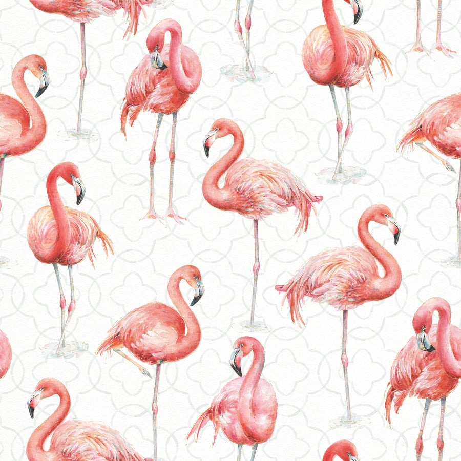 Flamingo Goals White Mural Wallpaper