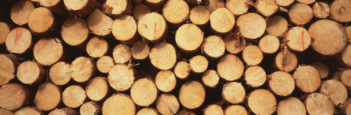 Timber Rounds Mural Wallpaper - pure wallpaper artwork