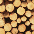 Timber Rounds Mural Wallpaper - pure wallpaper artwork