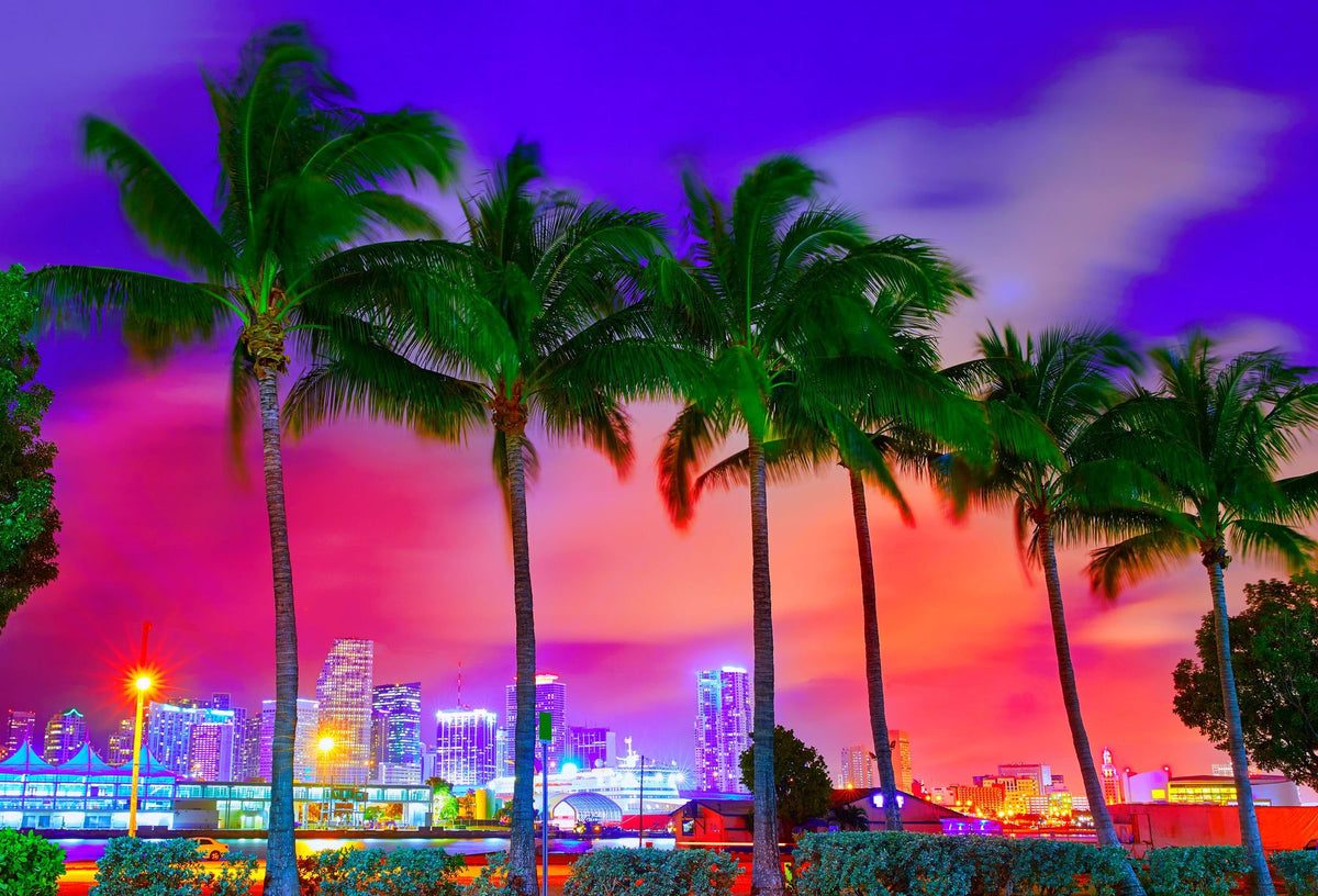 Miami Palm Sunset Mural Wallpaper - pure wallpaper artwork