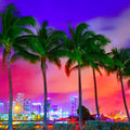 Miami Palm Sunset Mural Wallpaper - pure wallpaper artwork