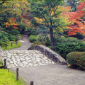 Autumn Zen Garden Mural Wallpaper - pure wallpaper artwork