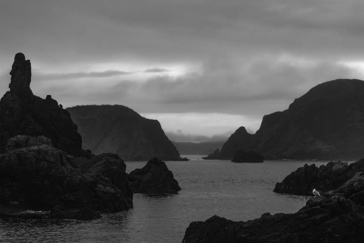 Twillingate Coast BW Mural Wallpaper - pure wallpaper artwork