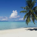Paradise Cove Mural Wallpaper - pure wallpaper artwork