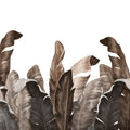 Leaves in Que Mural Wallpaper - Edition 3 - pure wallpaper artwork