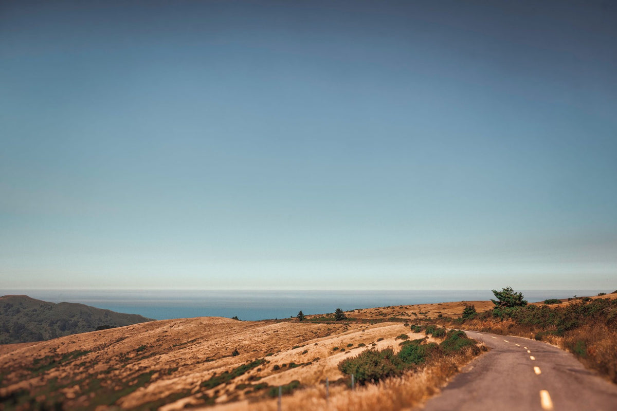 Lost Coast Mural Wallpaper - pure wallpaper artwork
