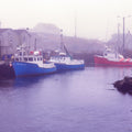 Foggy Fishing Purple Mural Wallpaper - pure wallpaper artwork