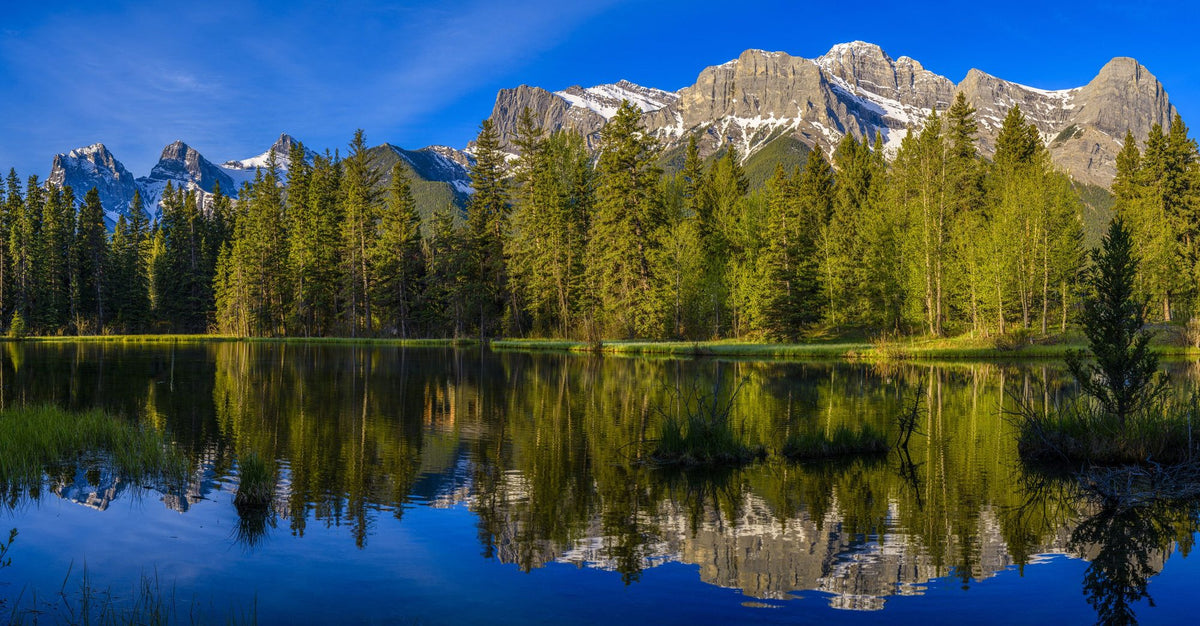 Three Sisters Mountain Mural Wallpaper - pure wallpaper artwork