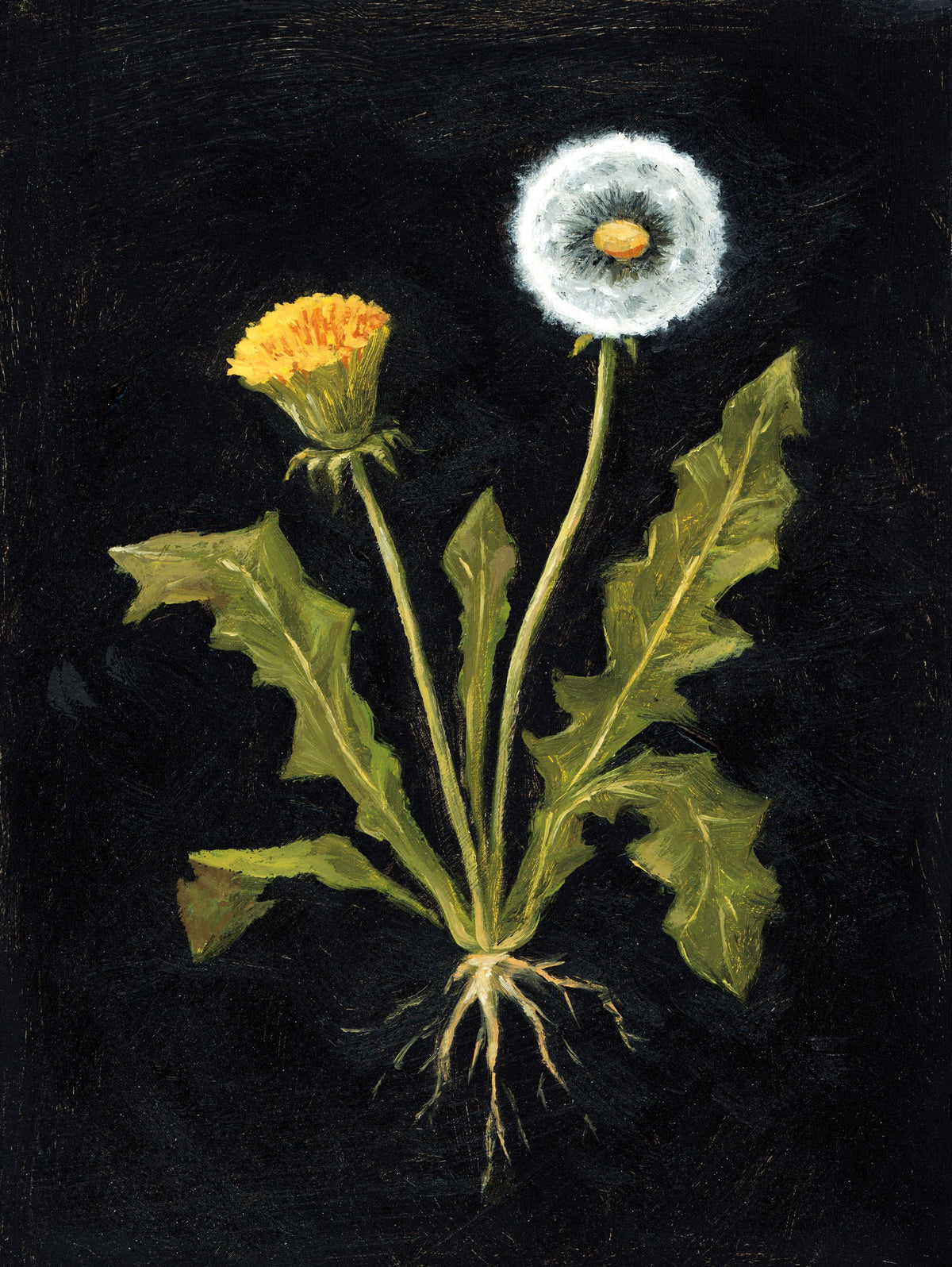 Vintage Dandelion Mural Wallpaper - pure wallpaper artwork
