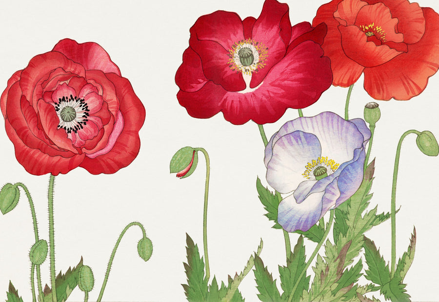 Tanigami Poppy Mural Wallpaper
