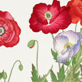 Tanigami Poppy Mural Wallpaper - pure wallpaper artwork