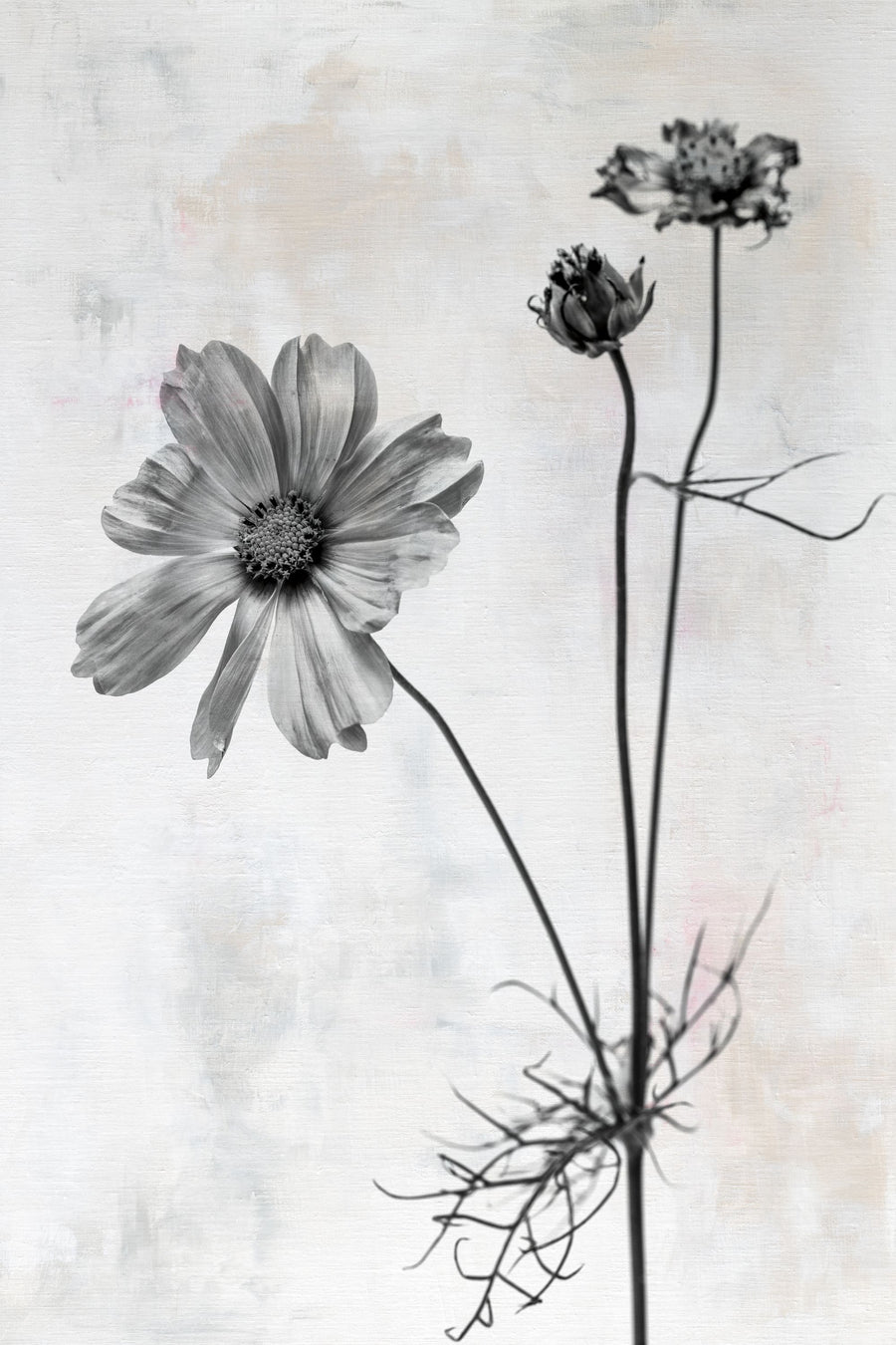 Wonderful Wildflowers XVII Neutral Mural Wallpaper