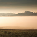 Foggy Grapes Mural Wallpaper - pure wallpaper artwork