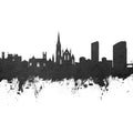 Limerick Ireland Skyline Black & White Mural Wallpaper - pure wallpaper artwork