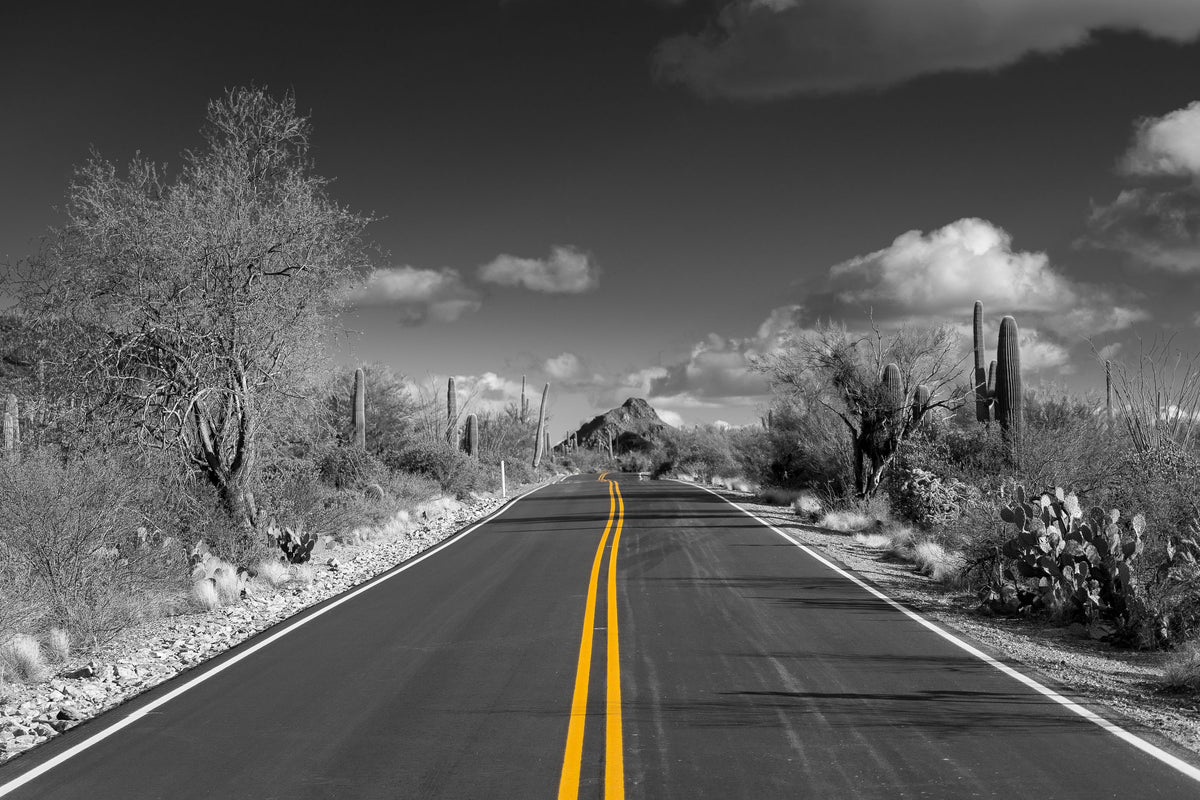Road Trippin Mural Wallpaper - pure wallpaper artwork
