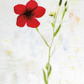 Wonderful Wildflowers XIV Mural Wallpaper - pure wallpaper artwork
