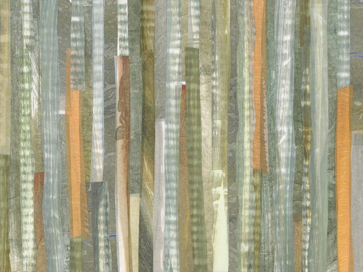 River Trout Study I Mural Wallpaper - pure wallpaper artwork