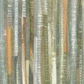 River Trout Study I Mural Wallpaper - pure wallpaper artwork
