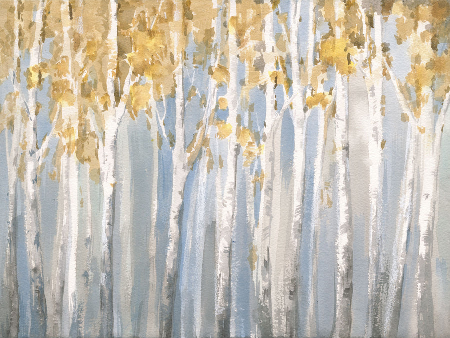 Bright Birches Mural Wallpaper